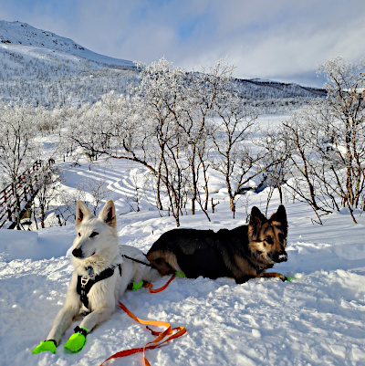 Eyla und Xora im finnischen Winter